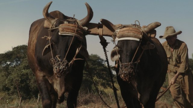 Ruovesi Akbank Sanat